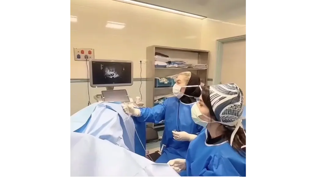 Dr. Leila Majdi - Gynecologyst - IVF Specialist
